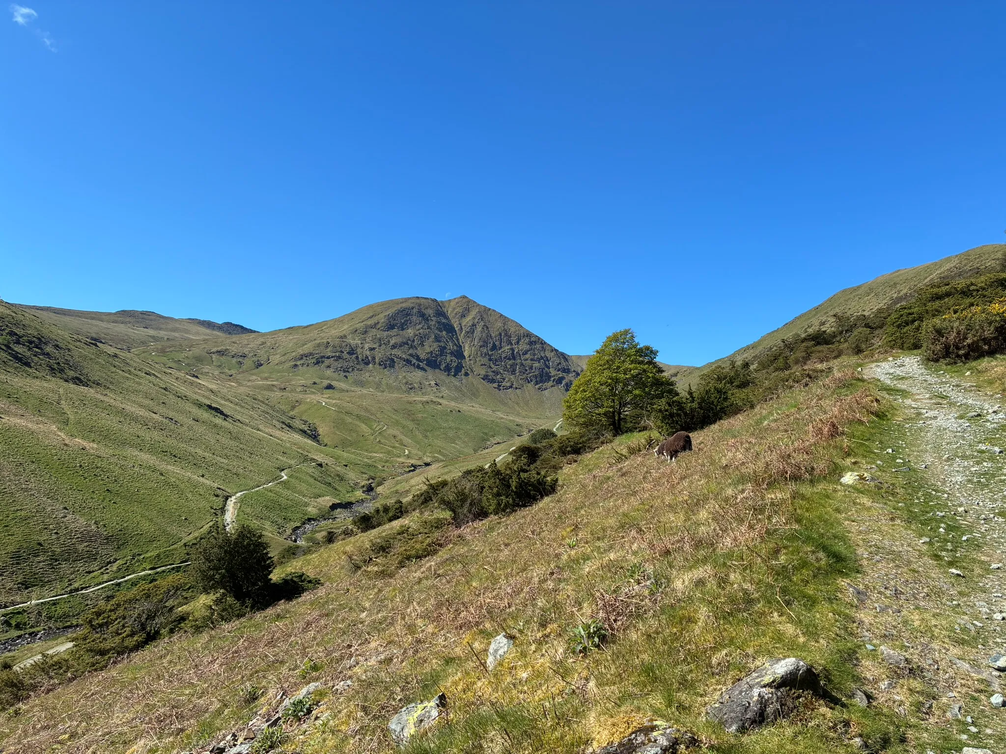 Lake District fell views on a Scafell Pike walk
